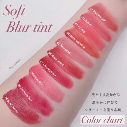 ソフトブラーティント/mude/リップティントを使ったクチコミ(5枚目)