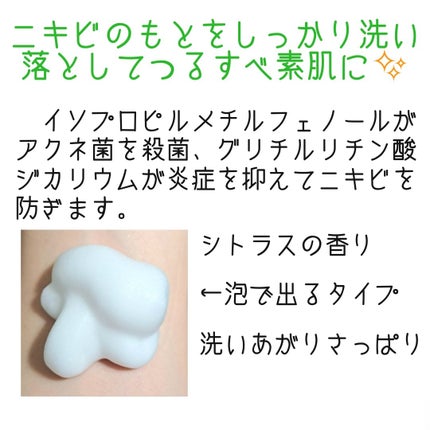 薬用ふわふわな泡洗顔 160mL/メンソレータム アクネス/泡洗顔を使ったクチコミ(2枚目)