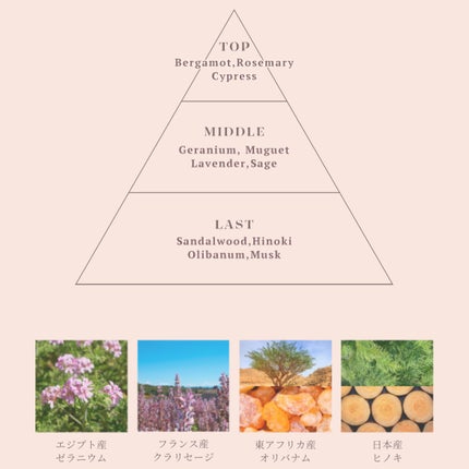 メルト モイストシャンプー/トリートメント/melt/市販シャンプーを使ったクチコミ(2枚目)