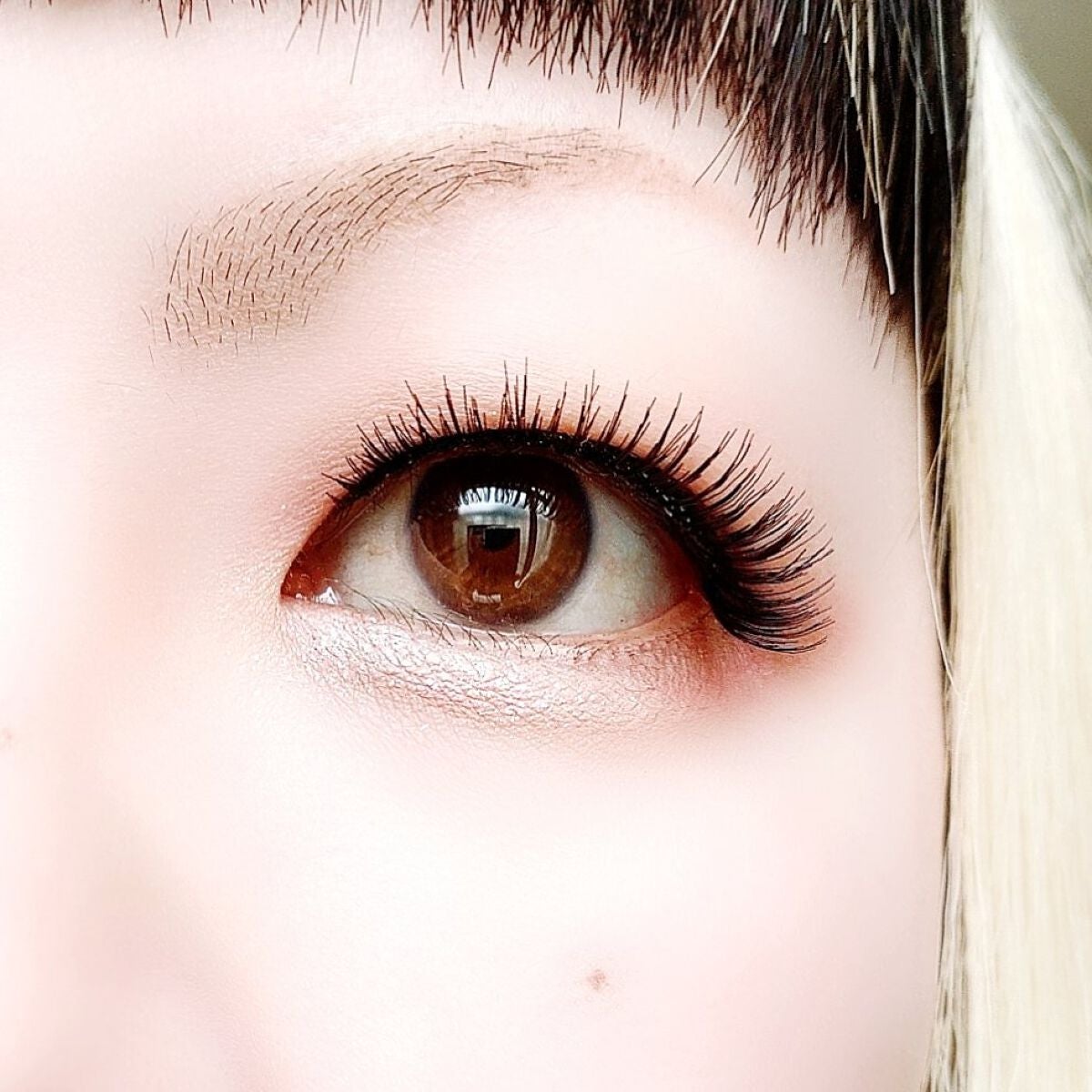 ベターザンアイズ/rom&nd/アイシャドウパレットを使ったクチコミ(6枚目)