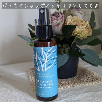 ノームアンドコー アロマミスト<ユーカリ イン ザ フォレスト>/noom & co./アロマオイルを使ったクチコミ(3枚目)