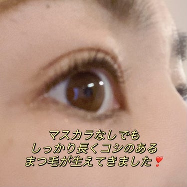 ISEHAN Lab. ラッシュプログラム のクチコミ「#LASHPROGRAM

✼••┈┈••✼••┈┈••✼••┈┈••✼••┈┈••✼

まつ.....」（2枚目）