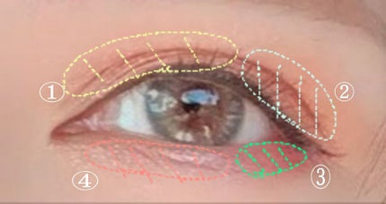 【旧品】パウダーチークス/キャンメイク/パウダーチークを使ったクチコミ(2枚目)