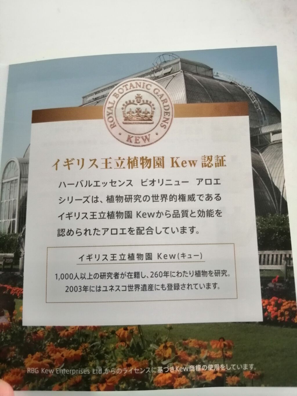 ビオリニュー アロエ＆バンブー シャンプー／コンディショナー シャンプー/ハーバルエッセンス/市販シャンプーを使ったクチコミ（3枚目）