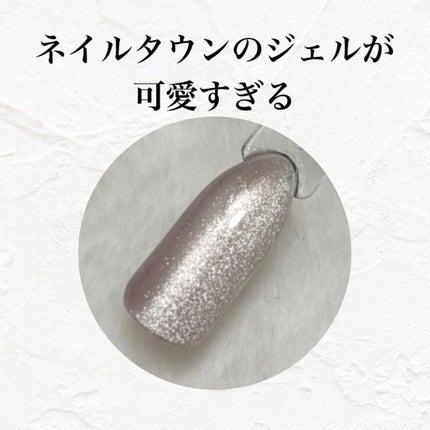 マグネットジェル 10エリス(ギャラクシーシリーズ)/NAILTOWN/ジェルネイルの画像