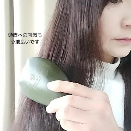 プレミアム FOX カッサ ゴースト ヘアブラシ ブラック/SNOW FOX SKINCARE/ヘアブラシを使ったクチコミ(9枚目)