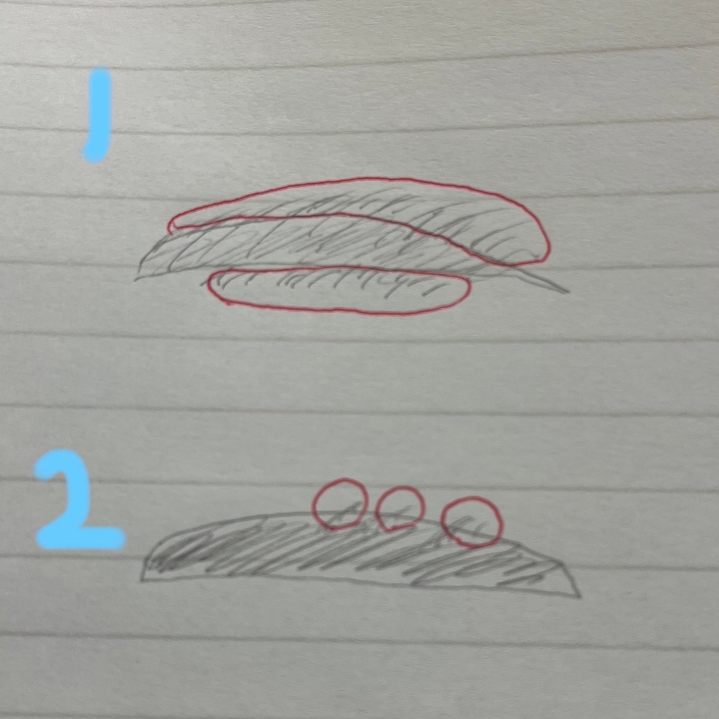 眉スキハサミ/貝印/その他化粧小物を使ったクチコミ(1枚目)