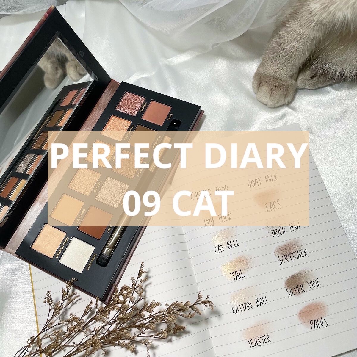 エクスプローラ12色 動物アイシャドウパレット/PERFECT DIARY/アイシャドウパレットを使ったクチコミ（1枚目）