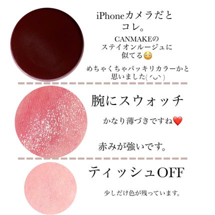 リップドレスティント/近江兄弟社/リップティントを使ったクチコミ(3枚目)