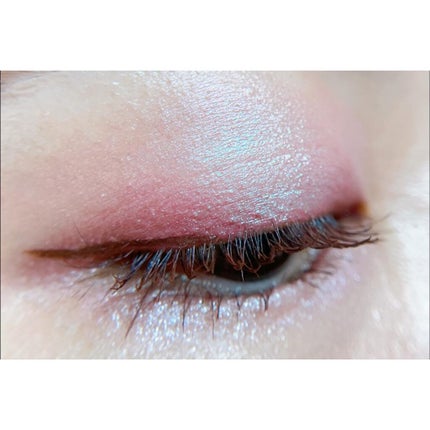 エクスプローラ12色 動物アイシャドウパレット/PERFECT DIARY/アイシャドウパレットを使ったクチコミ(6枚目)