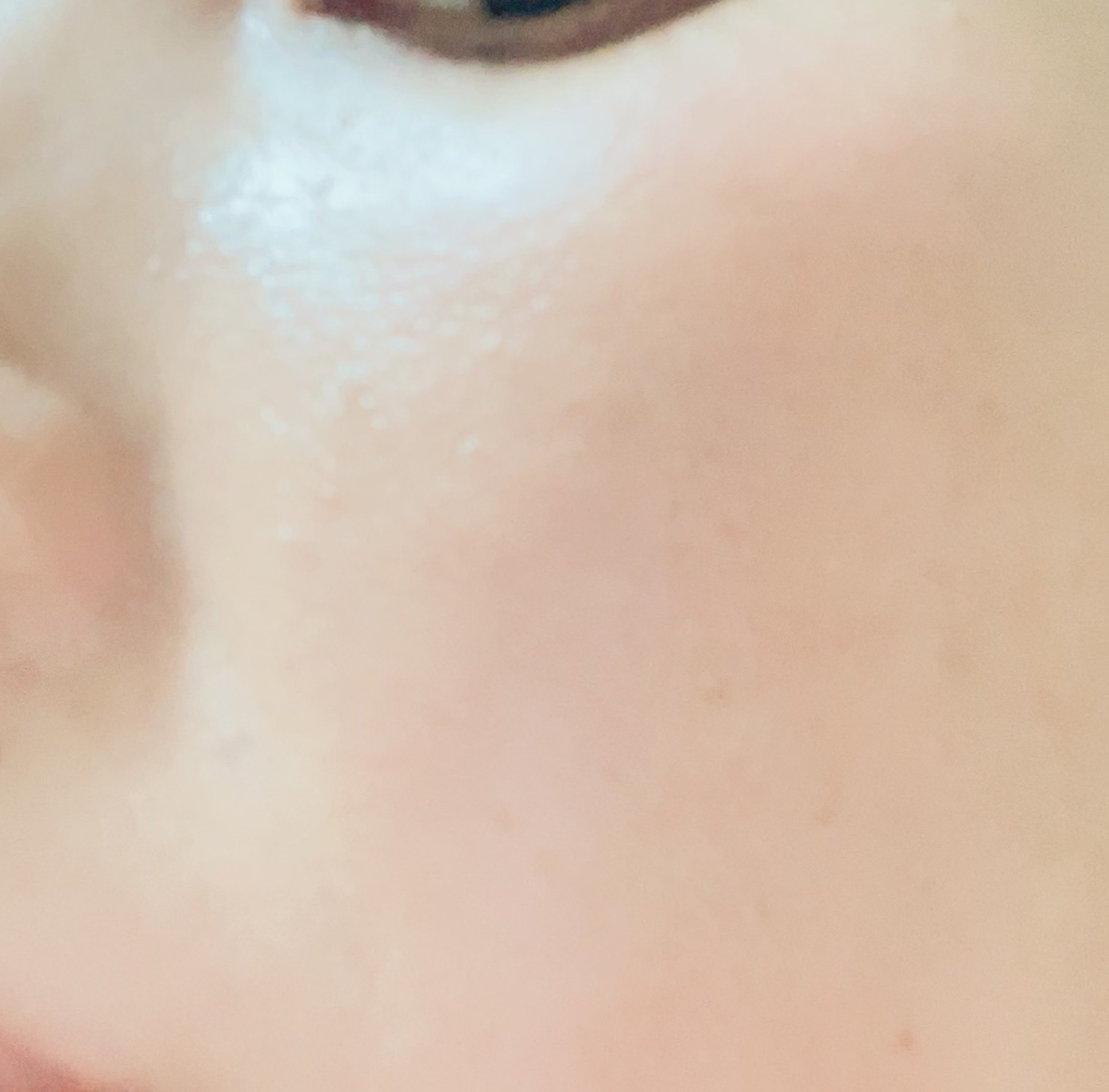 プライムプライマーフィニッシュパウダー/BANILA CO/ルースパウダーを使ったクチコミ（3枚目）