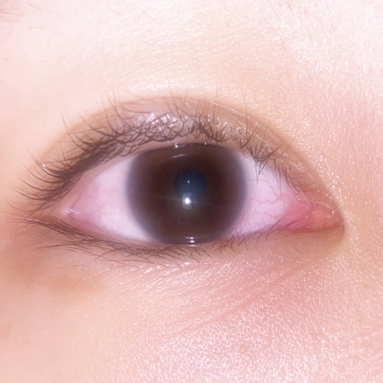 まつ毛デラックス WMOA/ニューモ/マスカラ下地を使ったクチコミ（2枚目）