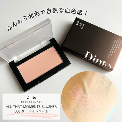 ブラーフィニシュブラッシャー/Dinto/パウダーチークを使ったクチコミ(1枚目)