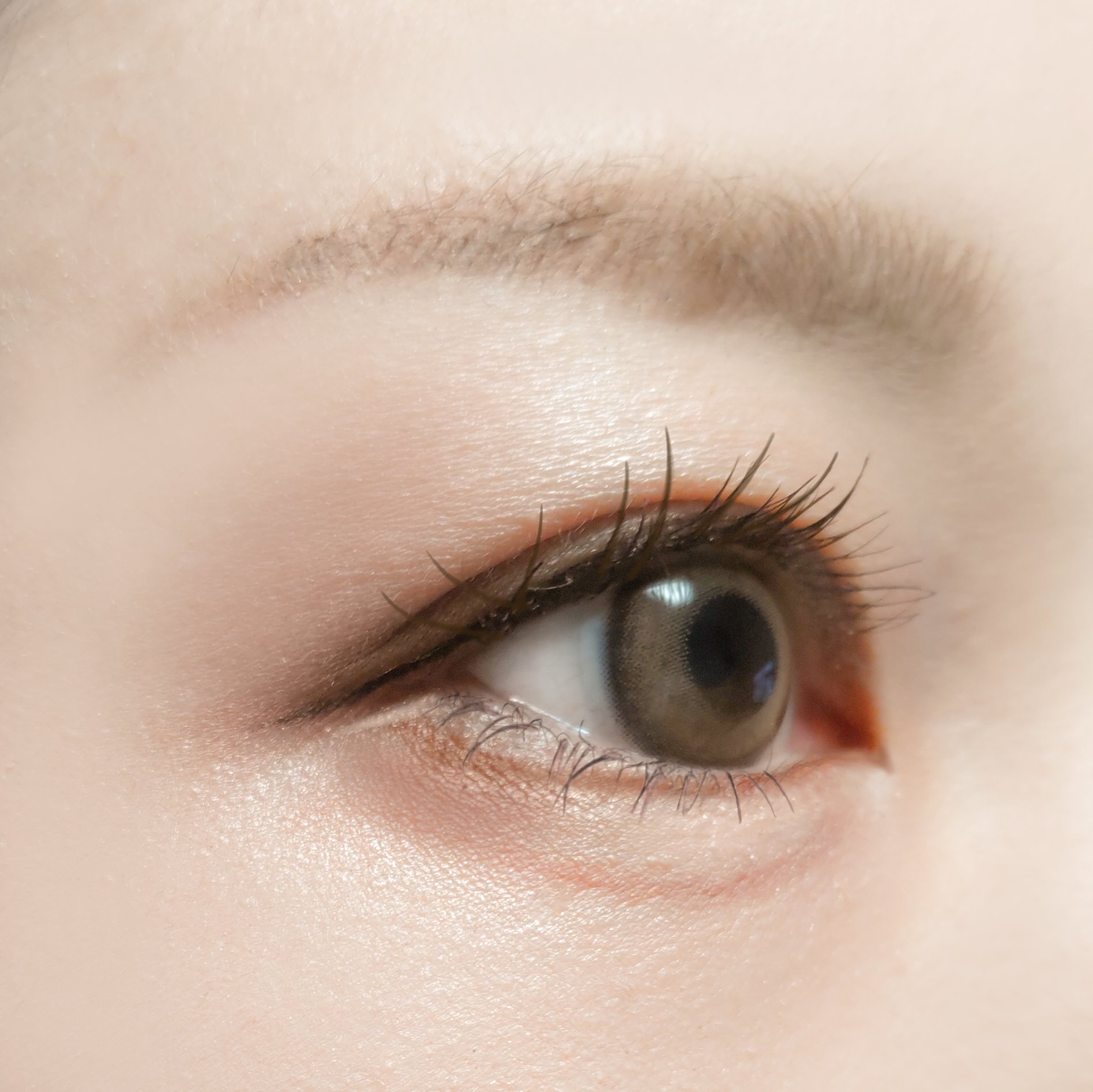 UR GLAM　BLOOMING EYE COLOR PALETTE/U R GLAM/アイシャドウパレットを使ったクチコミ（3枚目）