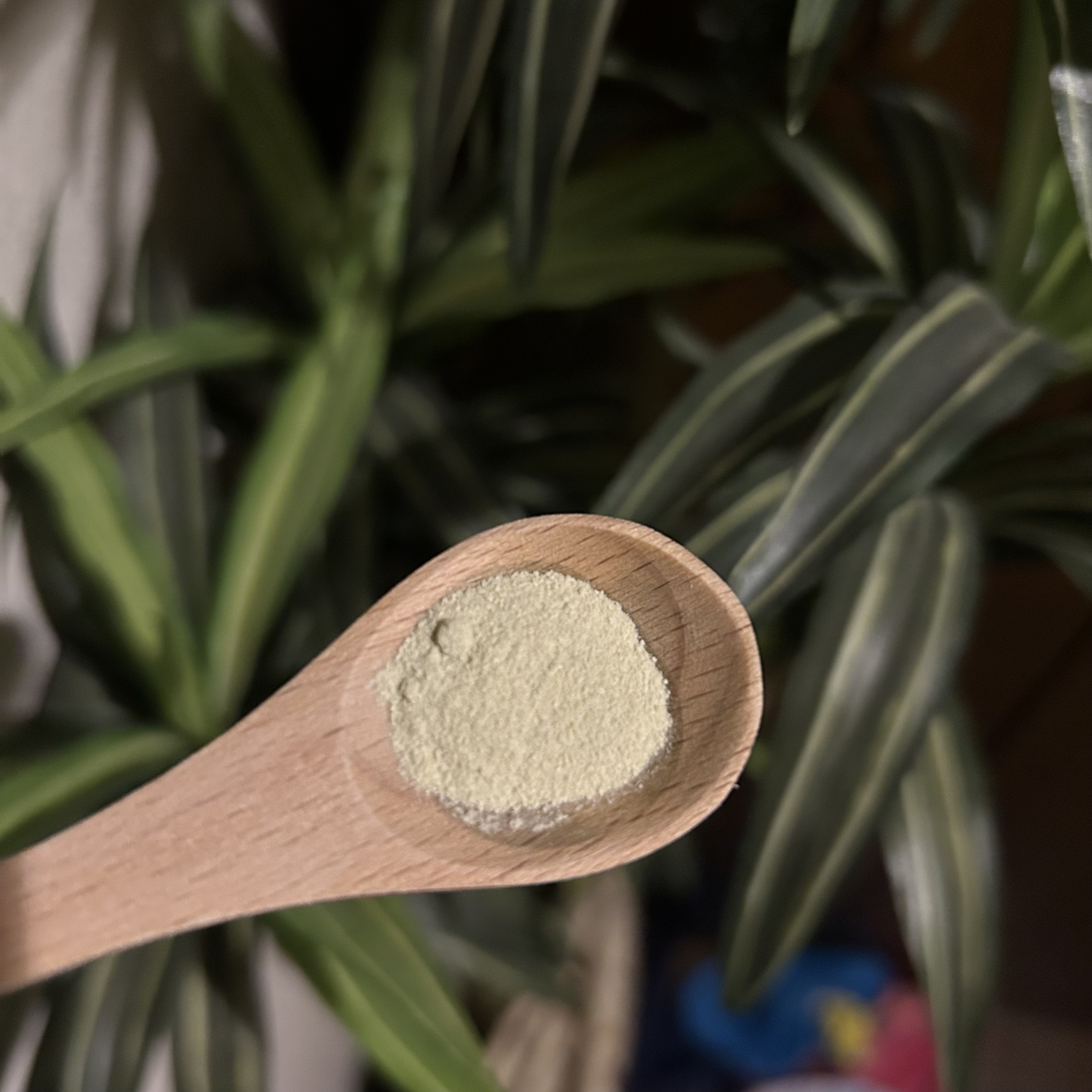 グリーンティー&エンザイムパウダーウォッシュ/By Wishtrend/洗顔パウダーを使ったクチコミ（2枚目）