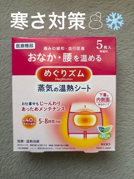 蒸気の温熱シート 下着の内側面に貼るタイプ/めぐりズム/その他を使ったクチコミ(1枚目)
