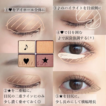 スキンモデリングアイズ/LUNASOL/アイシャドウパレットを使ったクチコミ(2枚目)