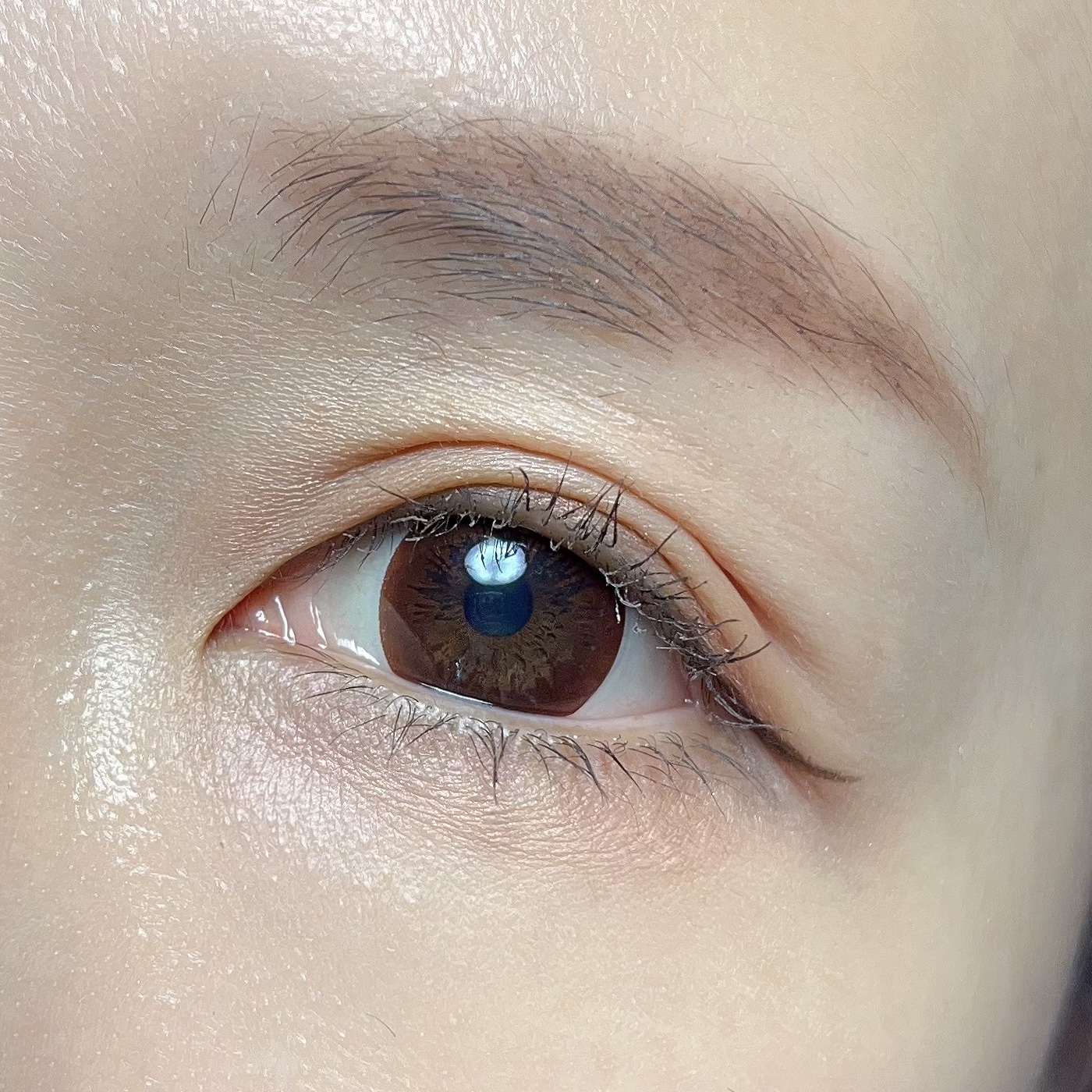 デザイニングブラウンアイズ/KATE/アイシャドウパレットを使ったクチコミ（2枚目）