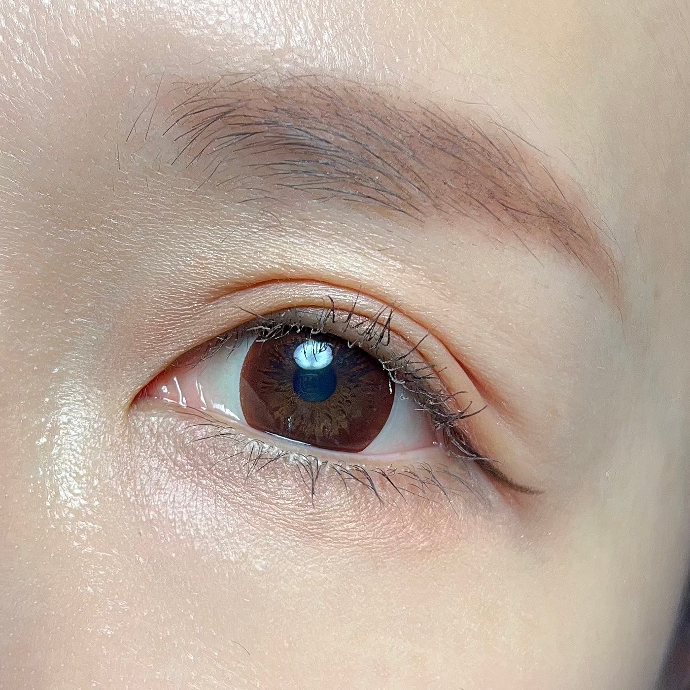 デザイニングブラウンアイズ/KATE/アイシャドウパレットを使ったクチコミ(2枚目)