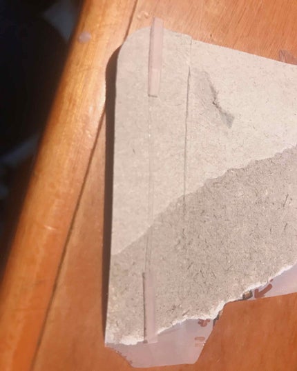 清水@神あゆ on LIPS 「メルカリで売ってる二重ファイバーです!最近、これが使いやすくて..」(4枚目)