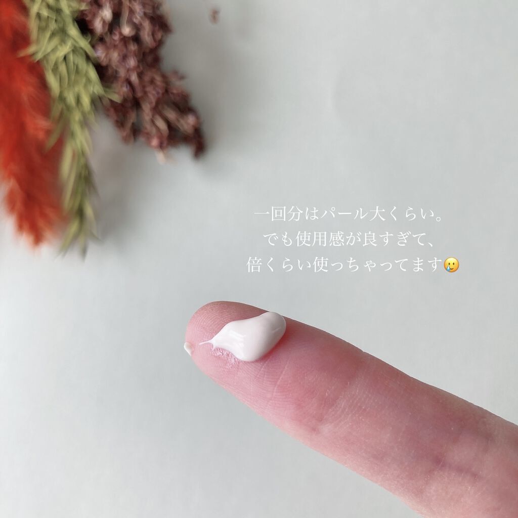 ハイパフォーマンス デイクリーム/ALBION/化粧下地を使ったクチコミ（3枚目）