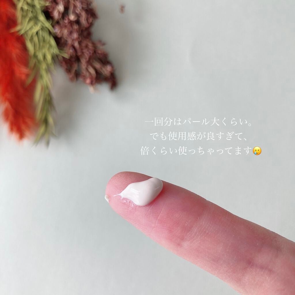 ハイパフォーマンス デイクリーム/ALBION/化粧下地を使ったクチコミ(3枚目)