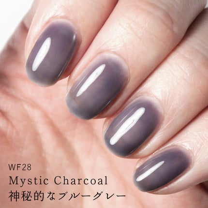 WF28 ミスティックチャコール(Mystic Charcoal)