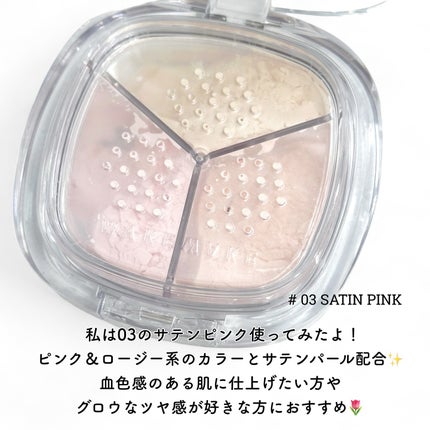 ステイフィクサーマルチカラーパウダー/wakemake/ルースパウダーを使ったクチコミ(3枚目)