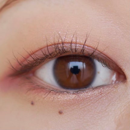 ZEESEA「ファンタジーパーク」12色アイシャドウパレット/ZEESEA/アイシャドウパレットを使ったクチコミ(4枚目)