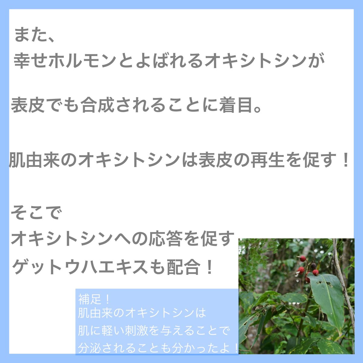 エッセンシャルイネルジャ ハイドレーティング クリーム/SHISEIDO/フェイスクリームを使ったクチコミ(8枚目)