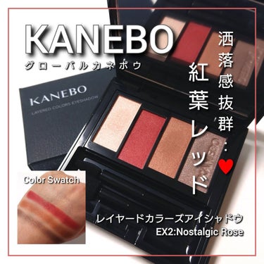 レイヤードカラーズアイシャドウ/KANEBO/アイシャドウパレットを使ったクチコミ（1枚目）