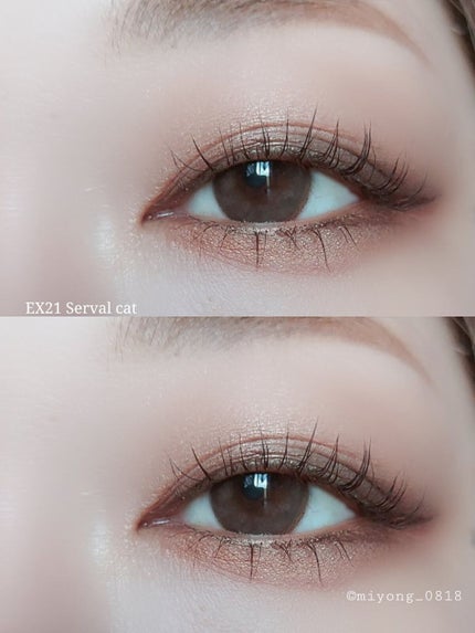 アイカラーレーション/LUNASOL/アイシャドウパレットを使ったクチコミ(4枚目)