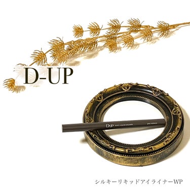 シルキーリキッドアイライナーWP グレーカシミア/D-UP/リキッドアイライナーを使ったクチコミ（1枚目）