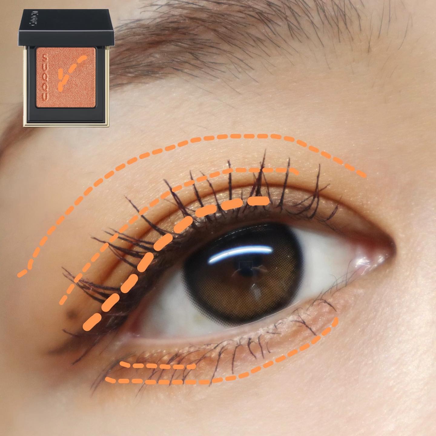 トーン タッチ アイズ/SUQQU/単色アイシャドウを使ったクチコミ（2枚目）