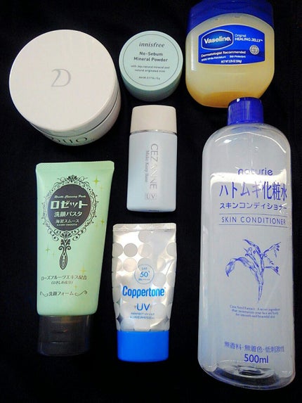 ハトムギ化粧水(ナチュリエ スキンコンディショナー R )/ナチュリエ/化粧水を使ったクチコミ(2枚目)