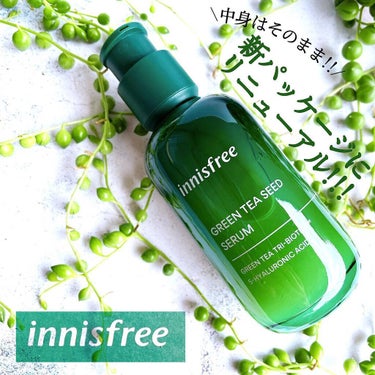 グリーンティーシード セラム N/innisfree/美容液を使ったクチコミ（1枚目）