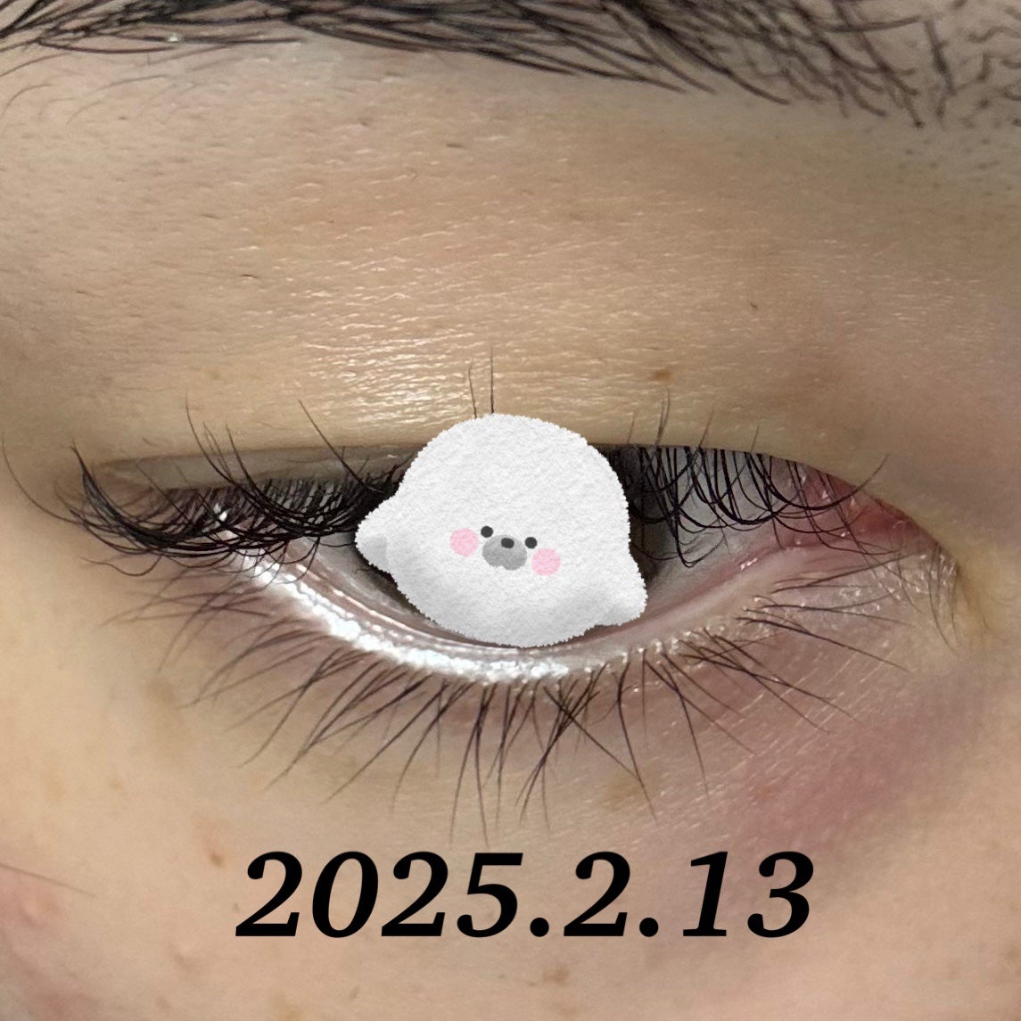 EMAKED(エマーキット)/水橋保寿堂製薬/まつげ美容液を使ったクチコミ(9枚目)