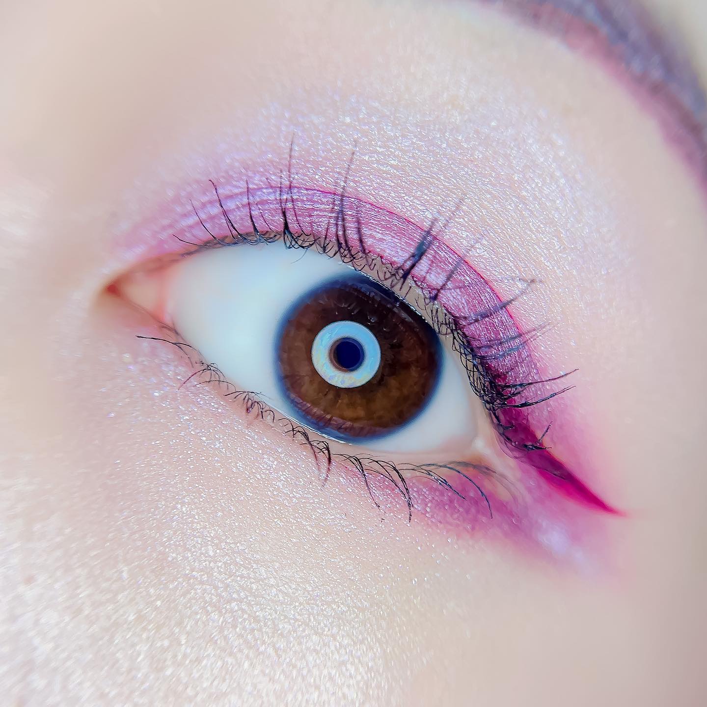 【旧】サンク クルール クチュール/Dior/アイシャドウパレットを使ったクチコミ（3枚目）