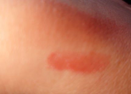 ザ ヘリテージ チーク BL3. バーントシエナ/MERZY/パウダーチークの画像