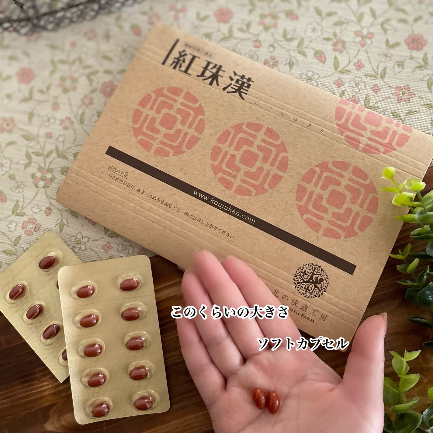 紅珠漢 こうじゅかん/北の快適工房/健康サプリメントを使ったクチコミ(4枚目)