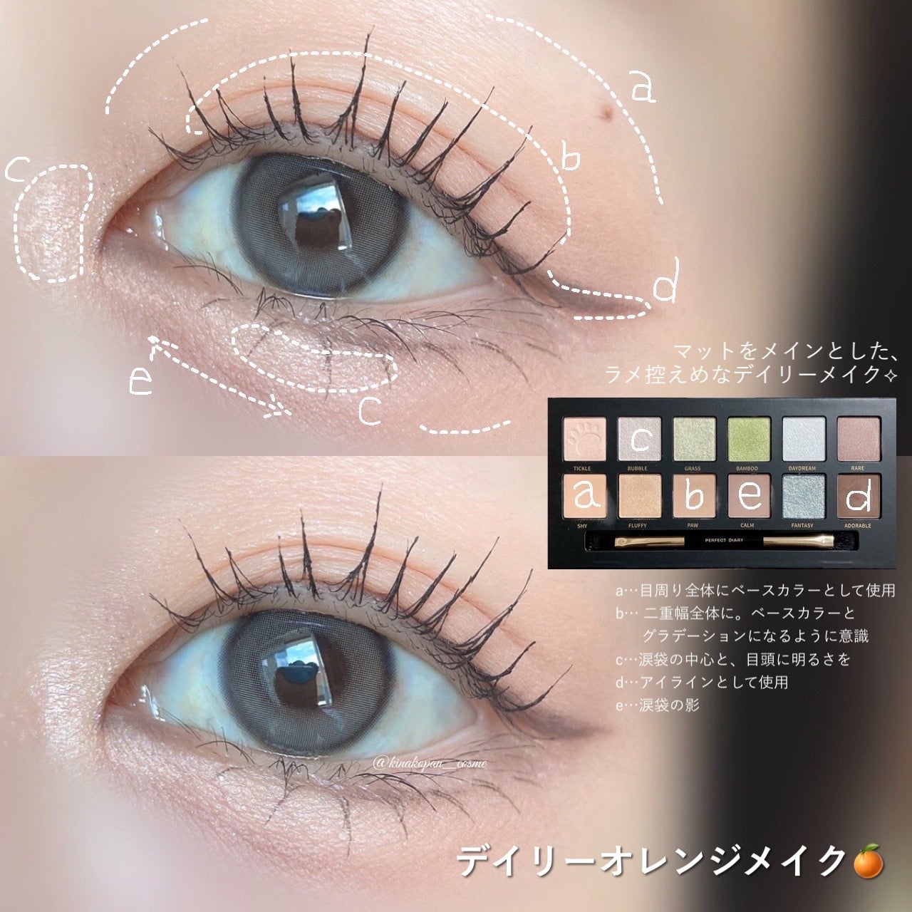 エクスプローラ12色 動物アイシャドウパレット/PERFECT DIARY/アイシャドウパレットを使ったクチコミ(4枚目)