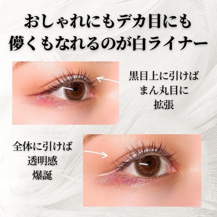 リキッドアイライナー /3650/リキッドアイライナーを使ったクチコミ(2枚目)