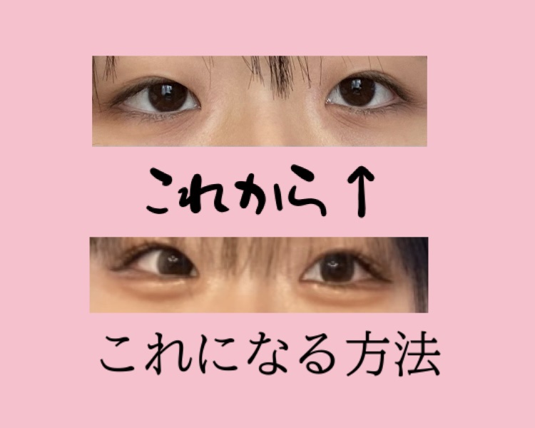 Secretive Kristen 1day ダスクブラウン/Hapa kristin/ワンデー（１DAY）カラコンを使ったクチコミ（1枚目）