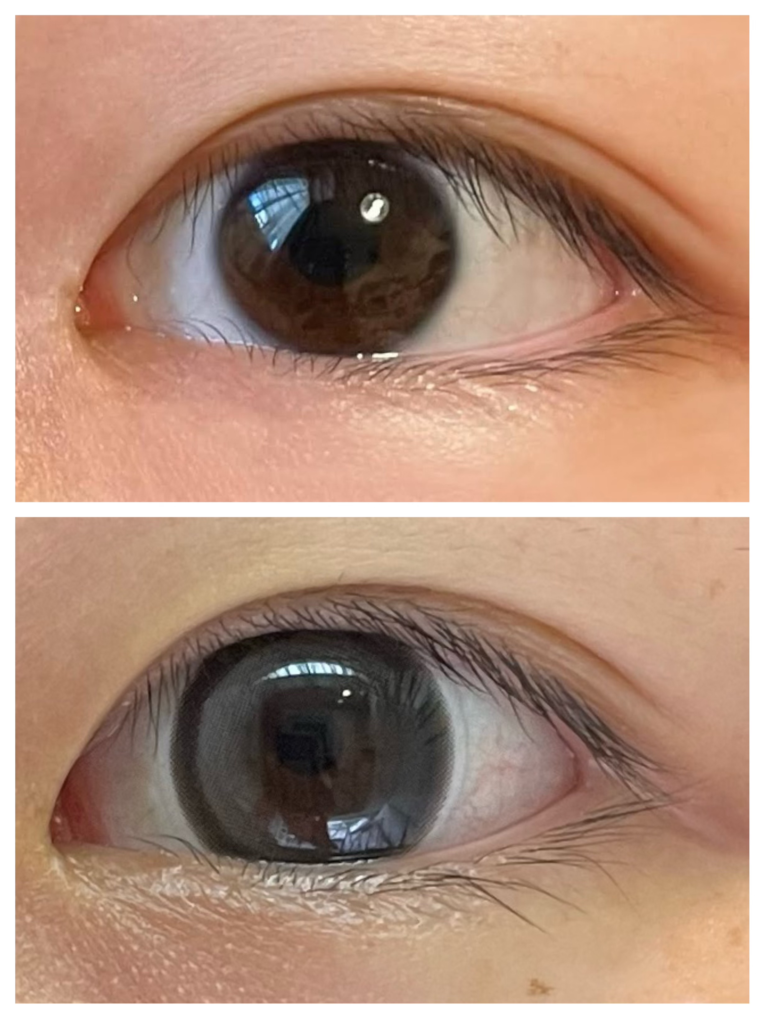 Big Glowy 1day/OLENS/ワンデー（１DAY）カラコンを使ったクチコミ（2枚目）