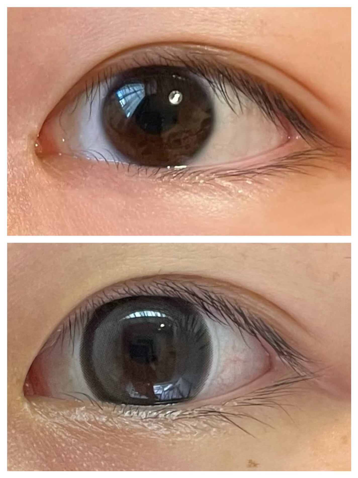 Big Glowy 1day/OLENS/ワンデー(1DAY)カラコンを使ったクチコミ(2枚目)