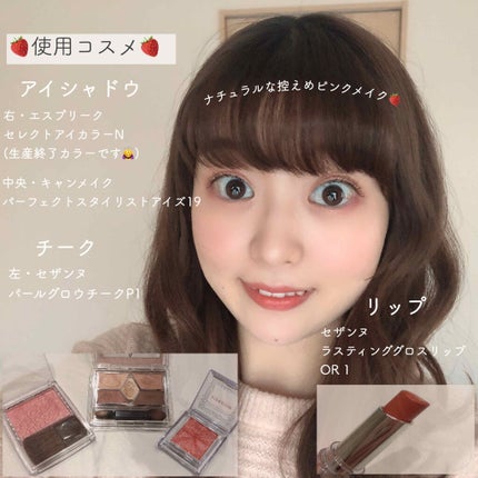 【旧品】パーフェクトスタイリストアイズ/キャンメイク/アイシャドウパレットを使ったクチコミ(2枚目)