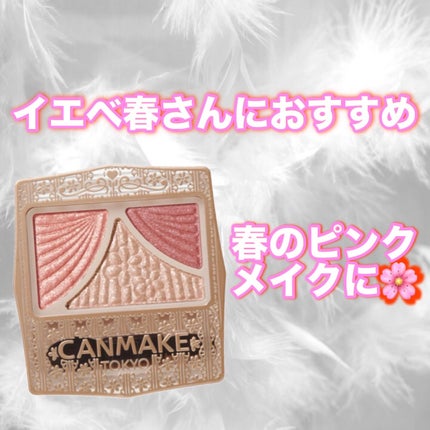 ジューシーピュアアイズ/キャンメイク/アイシャドウパレットを使ったクチコミ(1枚目)