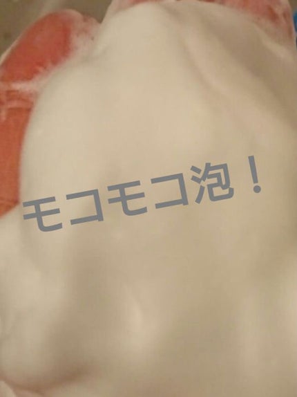 パーフェクトホワイトクレイ/SENKA(専科)/洗顔フォームを使ったクチコミ(2枚目)