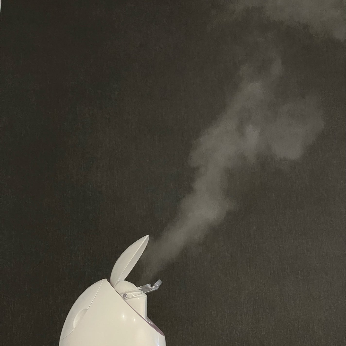 スチーマーナノケア EH-SA3A/Panasonic/美顔器・マッサージを使ったクチコミ(4枚目)