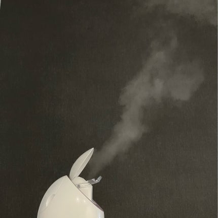 スチーマーナノケア EH-SA3A/Panasonic/美顔器・マッサージを使ったクチコミ(4枚目)